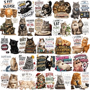 40 roliga katter PNG-paket, fluffiga kattcitat PNG, söt kattunge PNG, kattälskare PNG, humoristisk kattskjorta PNG, digital nedladdning, sublimeringsdesigner