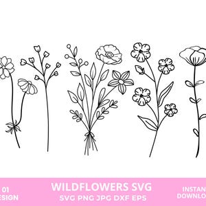 Wildblumen dafür, Wildblumen Png, Wildblumen Clipart, Botanischer Garten Png, minimalistischer Garten Png, digitaler Download