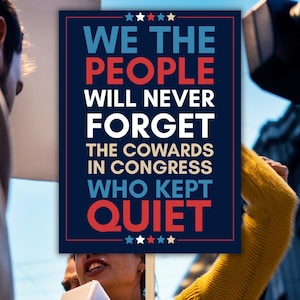 May include: A protest sign with the text "WE THE PEOPLE WILL NEVER FORGET THE COWARDS IN CONGRESS WHO KEPT QUIET" in white, red, and blue. The sign is held up in a crowd, with people and a yellow sweater visible.