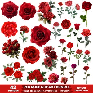 以下が含まれることがあります： 赤色のバラのクリップアートデザインのコレクション。個々の花と花束が含まれています。画像には、さまざまなサイズとスタイルのバラが、緑色の茎と葉とともに表示されています。下部のテキストには「42 DESIGNS RED ROSE CLIPART BUNDLE High Resolution PNG Files - 300DPI INSTANT DOWNLOAD」と書かれています。