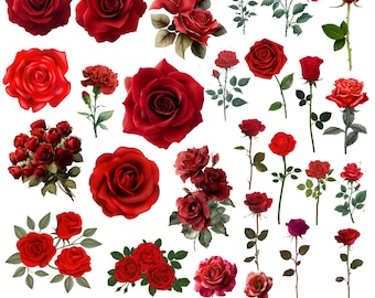 Red Rose Clipart PNG Bundle,Watercolor Rose Clipart,Floral Rose PNG,Red Flower Clipart, Sublimation Roses,Botanical Clipart,Digital Download