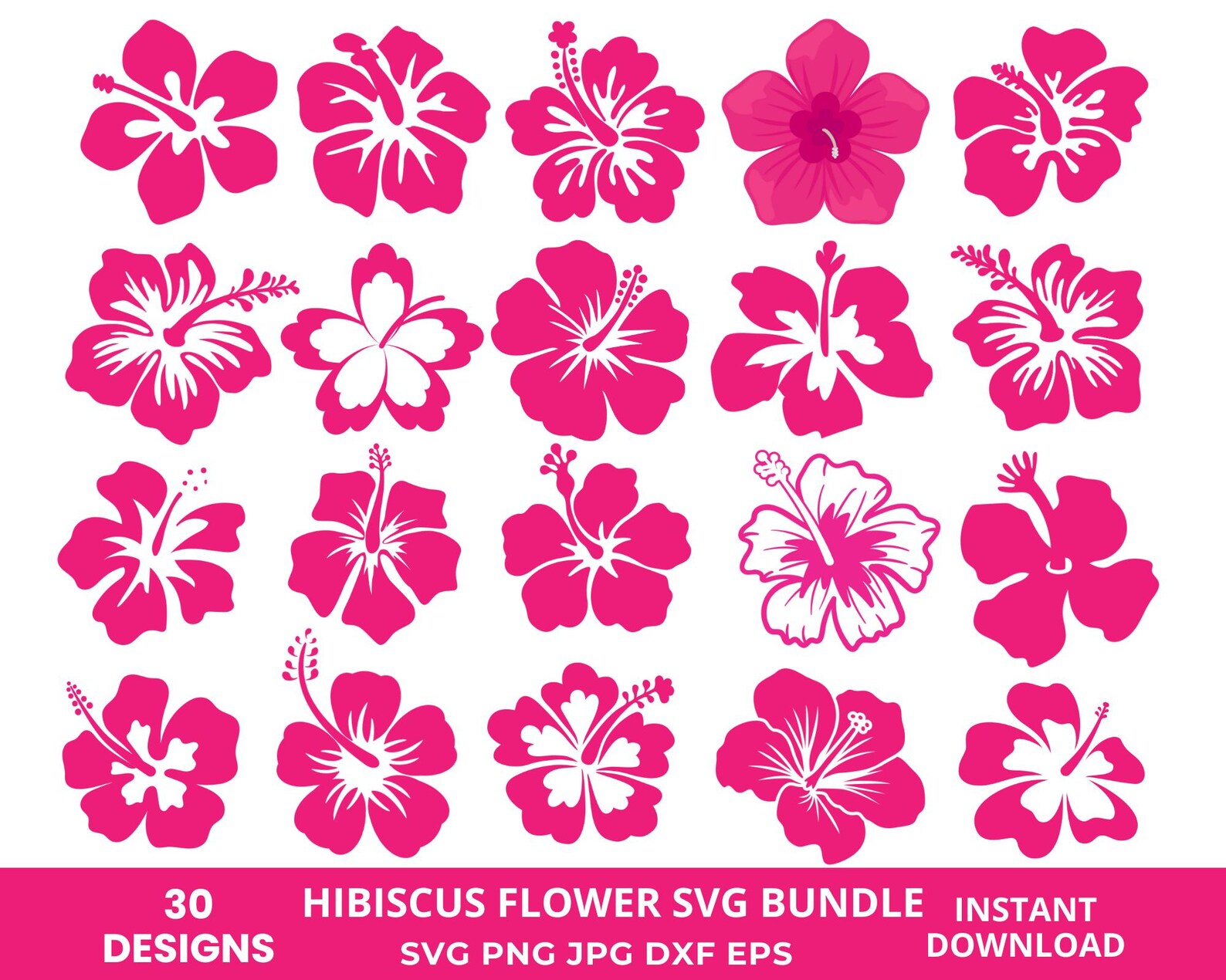 Hibiscus Flowers Svg Bundle, Hibiscus Svg Png, Hawaiian Flower Svg ...