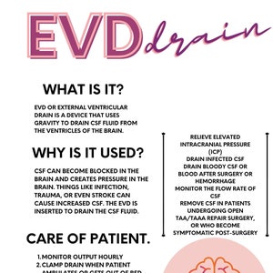 Puede incluir: Una ilustración de un cerebro en rosa y blanco con el texto "EVD drain" en la parte superior de la imagen. El texto "What is it?" está debajo de la ilustración del cerebro. El texto "Why is it used?" está debajo del texto "What is it?" El texto "Care of Patient" está debajo del texto "Why is it used?" El texto debajo de "Care of Patient" es una lista de cuatro pasos para cuidar a un paciente con un drenaje EVD. El texto "Relieve elevated intracranial pressure (ICP)" está en el lado derecho de la imagen. El texto debajo de "Relieve elevated intracranial pressure (ICP)" es una lista de razones por las que se podría usar un drenaje EVD.