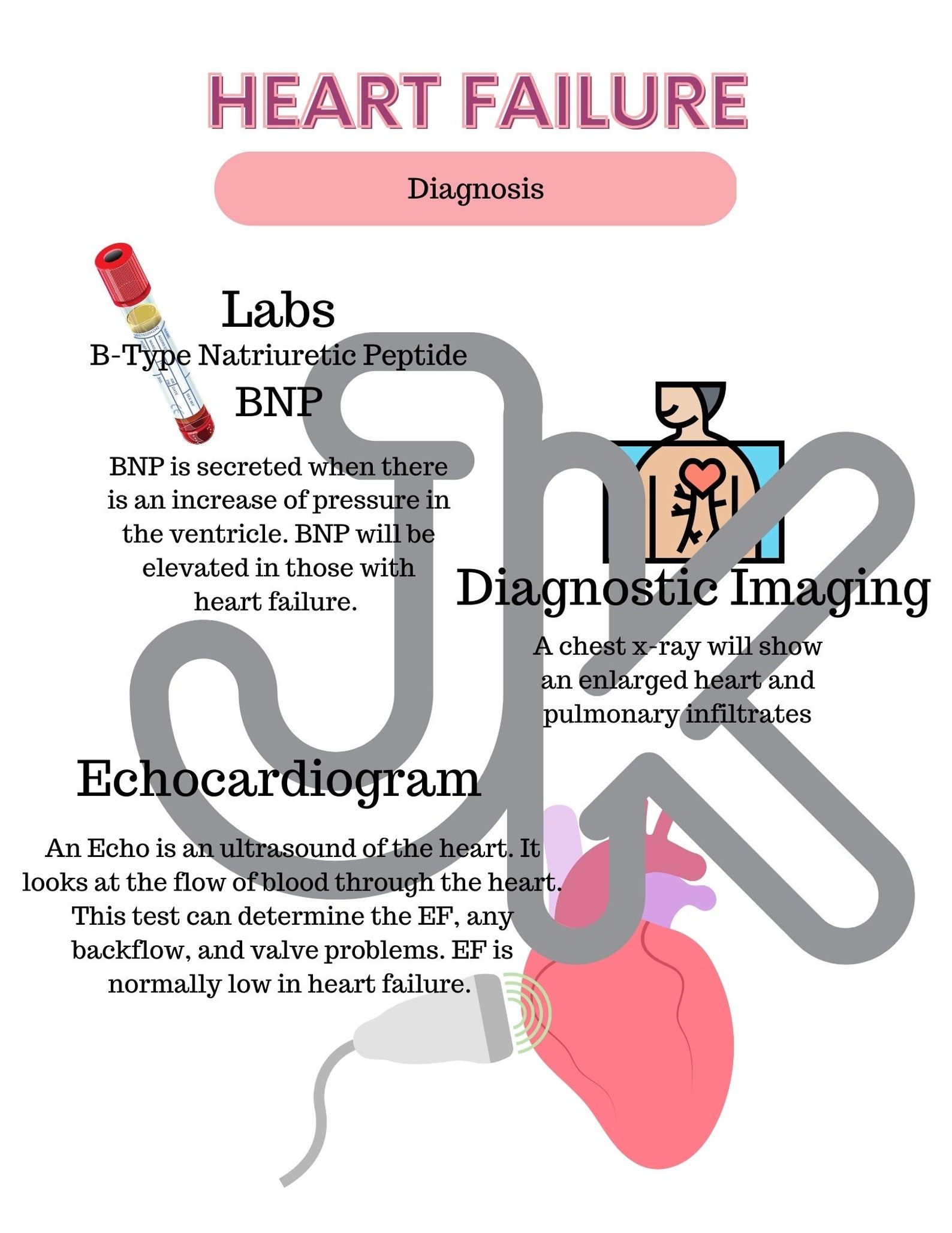 Heart Failure Nursing Notes, New Nurse Cheat Sheet, Nurse Study Guide, Heart Failure Study Notes