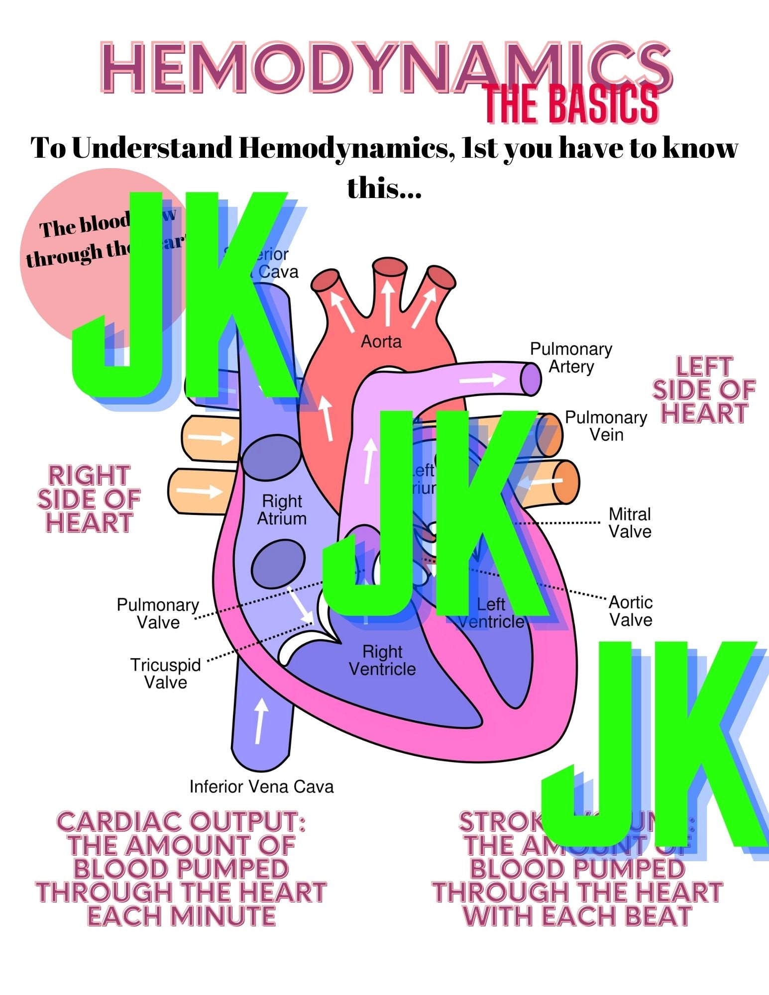 Hymodiamic Notes Hemodynamics Basics: Nurse Study Guide (PDF Download) - Etsy