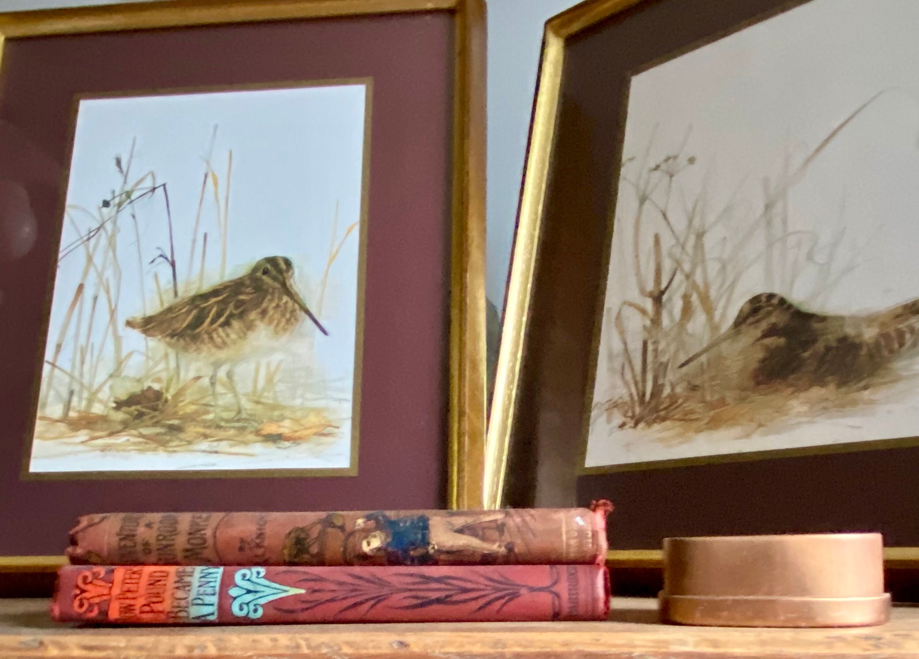 Pair of Vintage Framed Game Bird Prints of a Woodcock and Snipe