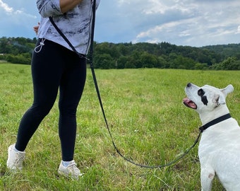 18 couleurs - Laisse mains libres imperméable Hexa à bandoulière pour chien, 295 cm, 16 mm de large, 5 couleurs pour la pose - argent, or, or rose, noir, arc-en-ciel