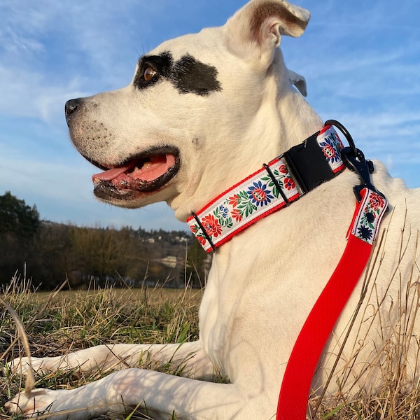 Folklore Dog Collar with traditional Czech folk floral pattern, Dog collar, Pet collar, Anti- Freeze Side Release Buckle, wedding collar