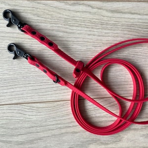 Verstellbare wasserdichte Hundeleine: Leichtes Hexa Gurtband, kleine Hunde, 10 mm Breite, 285 cm Länge