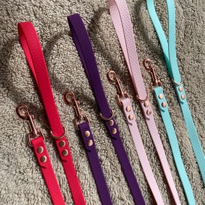 Waterproof Hexa Dog Leash: Durable PVC/TPU Webbing, 150cm