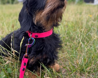 Waterproof Dog Collar and Leash Set: 16mm Hexa Webbing, Custom Fit