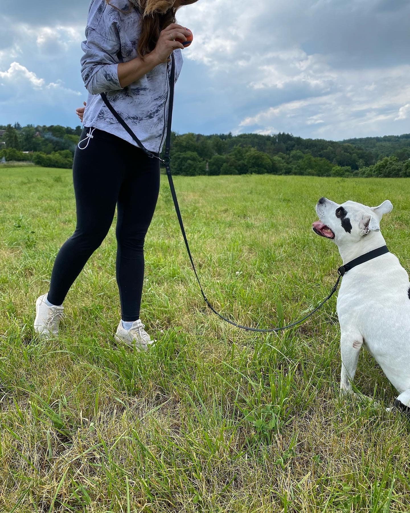 Shoulder dog best sale leash