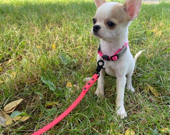 Waterproof Hexa Dog Leash: Lightweight PVC/TPU, for Small Dogs - 10 mm width of webbing, lenght 150 cm