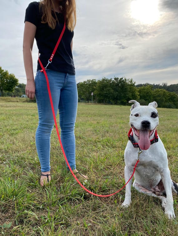 Adjustable Waterproof Dog Leash: Hands-Free Crossbody Design, Easy Clean, 16 mm, 285 cm with slider