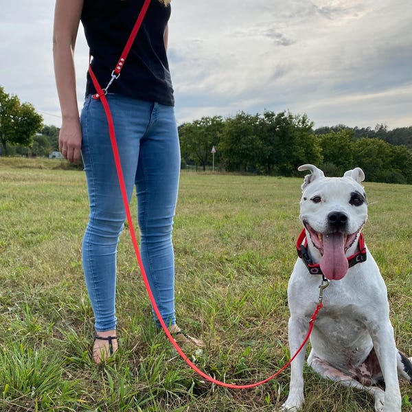 Verstellbare wasserdichte Hundeleine: Hands-Free Crossbody Design, Easy Clean, 16 mm, 285 cm mit Schieber