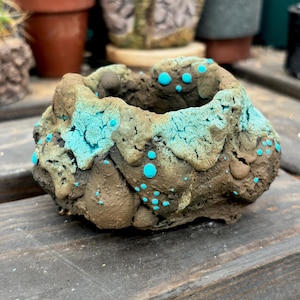 May include: A handcrafted, small, brown and turquoise ceramic planter. The planter has a rough, textured surface with turquoise accents and dots. The open top is designed for planting small succulents or cacti. Other planters are visible in the background.