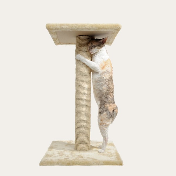 Replacement Sisal Posts for Go Pet | Trixie | Jump | Yaheetech | Tiger Tough Heybly & BeWise and other brand Cat Trees