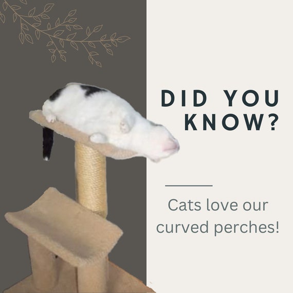 Cat tree brands discount