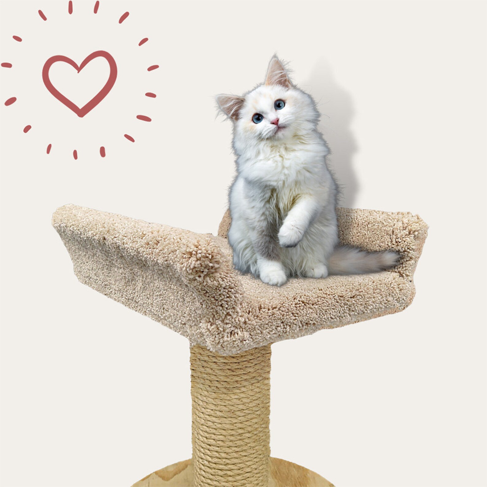 Cat Tree Perch, Replacement/upgrade Parts for Cat Trees Royal Bed With