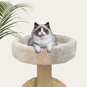 18x18x5 Round Cat Bed with Sides - Crow&#39;s Nest - Rounded Platform with Sidewalls - Made in USA
