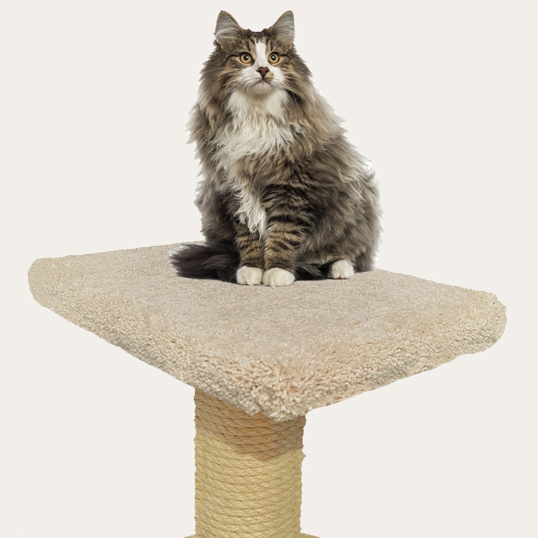 18x12x2 Rectangular Cat Tree Replacement Flat Platform Made in USA Etsy