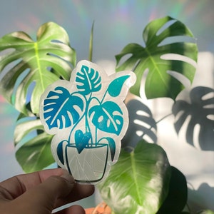 Monstera Suncatcher | Window Cling Rainbow Maker