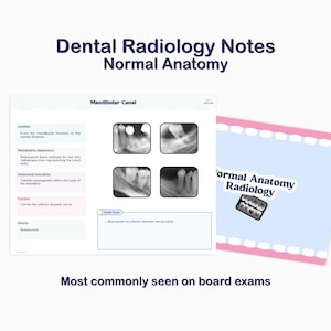 Radiologie Notizen für Studenten | Normale Zahnanatomie Orientierungspunkte | Goodnotes, Notability und Noteful