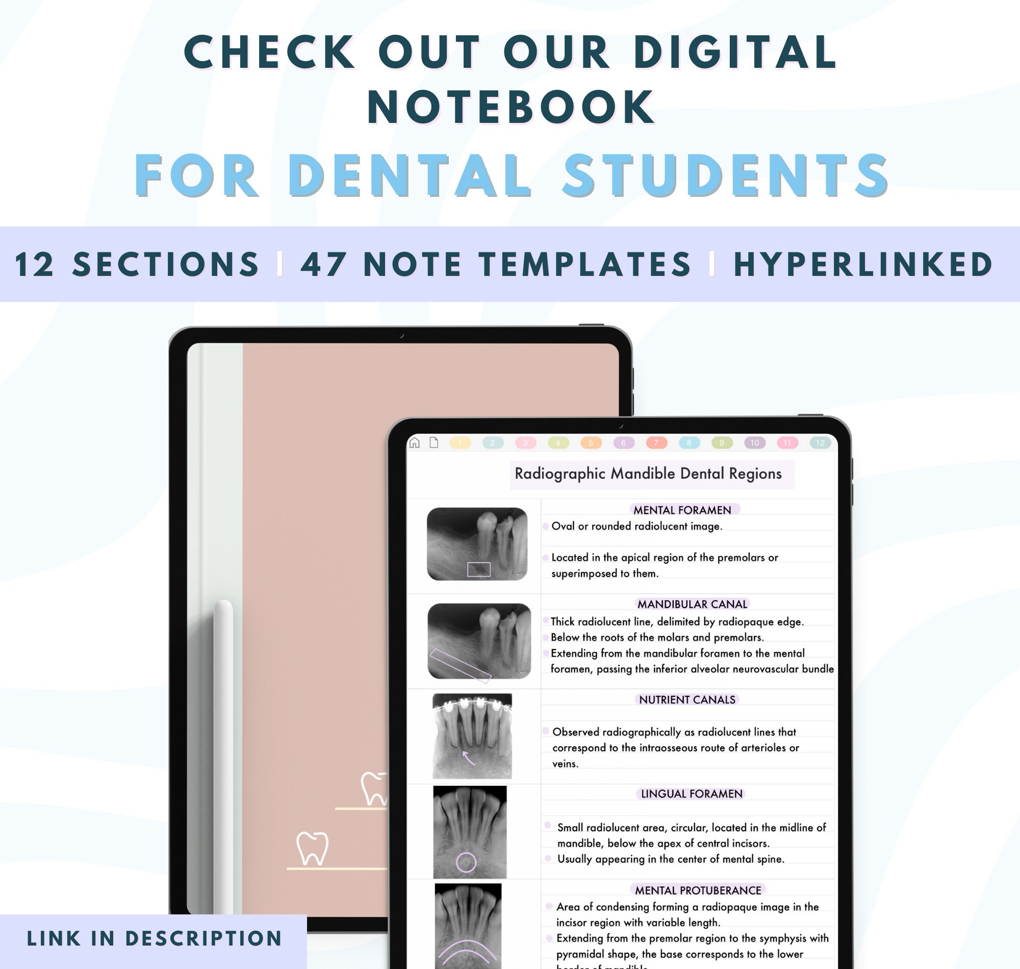 Student Digital Planner for Dental Assistants, Dental Hygienists, and Dentistry Students