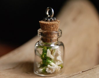 Natural Miniature Teeth and Bone Glass Vial Pendant- Ethically Foraged