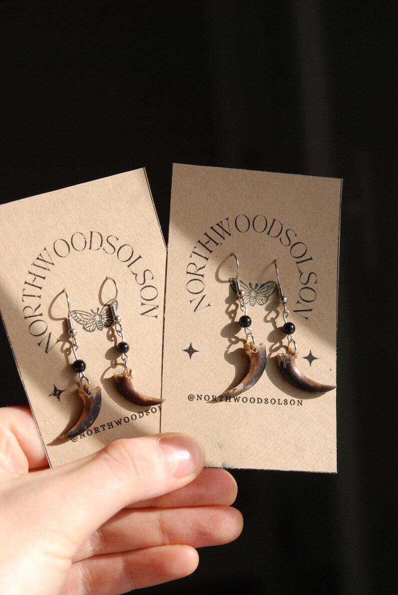 May include: Two pairs of earrings with a claw design. Each earring features a curved, brown claw pendant, black beads, and silver-coloured hooks. The earrings are displayed on tan cards with the text "NORTHWOODSOLSON" and a butterfly graphic.