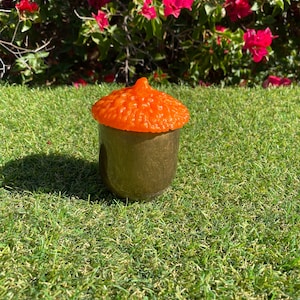 Acorn Jar, Jars with Lids, Stash Jar, Storage Container, Resin Jar, Handmade Resin Jar, Trinket Jar, Customizable, Gift Idea, Fall Decor