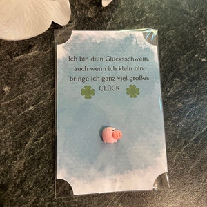 Glücksbringer/Glücksschwein/Mitgebsel/Gastgeschenk/kleines Geschenk/Zugabe/Konfirmation/Geburtstag/Hochzeit/Weihnachten/Sivester