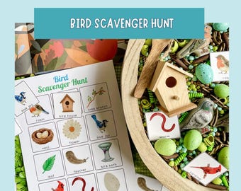 Bird Scavenger Hunt Printable