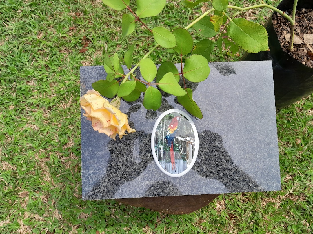 Spoontiques - Décoration De Jardin - Les Chats Font Une Pierre De