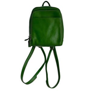 May include: A green leather backpack with a top handle and adjustable straps. The backpack has a front pocket and a zippered closure. The bag is approximately 12 inches tall and 10 inches wide.