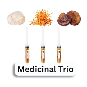 Kit de cultivo de hongos medicinales líquidos premium - 3 jeringas: Melena de león, Cordyceps, Reishi