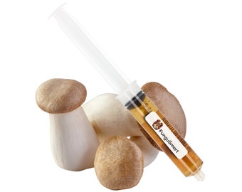 Premium King Trumpet Mushroom Spore Syringe - Pleurotus Eryngii - High-Quality Mushroom Culture