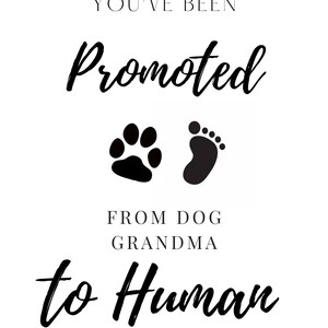 Promoção de Vovó Cachorro para Vovó Humana