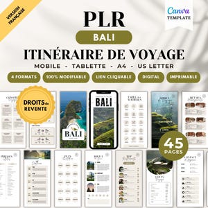Può includere: Un modello digitale di itinerario di viaggio per Bali, con un design pulito e moderno. Il layout include varie pagine con informazioni di viaggio, un mockup di telefono cellulare e il testo "BALI". Il modello è disponibile in 4 formati ed è modificabile al 100%.
