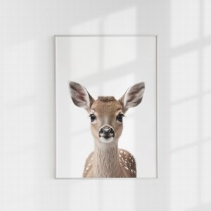 Woodland Nursery, Woodland Nursery Decor, Kids Room Decor, Nursery Wall Art, Animal Art Print, Digital Download, Printable Wall Art