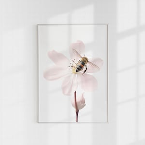 Bees and Flowers, Bee Decor, Bee Wall Art, White Flower Wall Art, Digital Print, Printable Wall Art, Printable Art Prints, Printable Bees