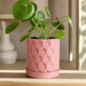 Honeycomb Wall Planter, Geometric Plant Pots, Modern Wall Decor