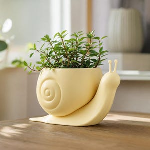 Könnte beinhalten: Ein blassgelber Keramik-Pflanztopf in Form einer Schnecke mit glatter, matter Oberfläche. Das Schneckenhaus dient als Gefäß für eine kleine, blättrige grüne Pflanze mit mehreren Stängeln und kleinen, ovalen Blättern, die nach oben ragen.