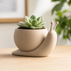 Op de afbeelding: Een matbeige keramische plantenbak in de vorm van een slak met een rond huisje en twee voelsprieten. Een groene vetplant met dikke, puntige bladeren is geplant in het huisje van de slakvormige plantenbak.