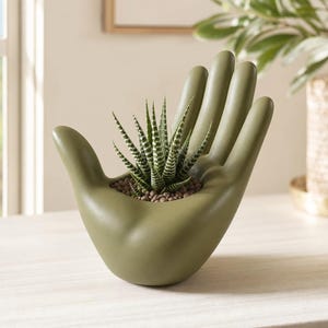 Könnte beinhalten: Ein matter, olivgrüner Keramikübertopf in Form einer offenen Hand, der eine kleine Haworthia-Sukkulente mit dunkelgrünen Blättern und horizontalen weißen Streifen enthält, wobei kleine braune Kiesel die Erdoberfläche bedecken.