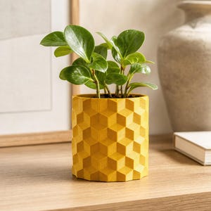 May include: A vibrant yellow cylindrical plant pot featuring a repeating three-dimensional geometric cube pattern on its exterior. A small green leafy plant with smooth, rounded foliage is potted inside the textured container.