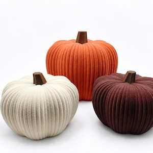 Könnte beinhalten: Drei dekorative Kürbisse in Creme, Orange und Dunkelbraun. Jeder Kürbis hat eine gerippte, strukturierte Oberfläche und einen festen braunen Stiel an der Oberseite. Die Kürbisse sind in einer Gruppe vor weißem Hintergrund angeordnet.