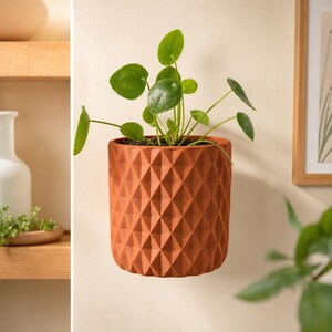 Könnte beinhalten: Ein terrakottafarbener Wandpflanztopf mit geometrischem Rautenmuster an der Außenseite. Der zylindrische Topf enthält eine grüne Pilea peperomioides Pflanze mit runden, flachen Blättern, die sich von der Mitte der Erde nach außen erstrecken.