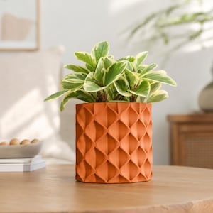 Puede incluir: Una maceta cilíndrica de color terracota que presenta un patrón texturizado repetitivo de ondas verticales o pétalos en su exterior. La maceta contiene una planta verde exuberante con hojas variegadas que tienen bordes de color crema claro.