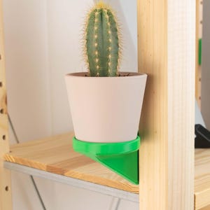 Op de afbeelding: Een groene cactus in een lichtroze pot, vastgehouden door een felgroene plankbeugel. De cactus heeft een hoge, cilindrische vorm met gele stekels. De beugel is gemonteerd op een houten plank, wat een moderne, minimalistische presentatie creëert.